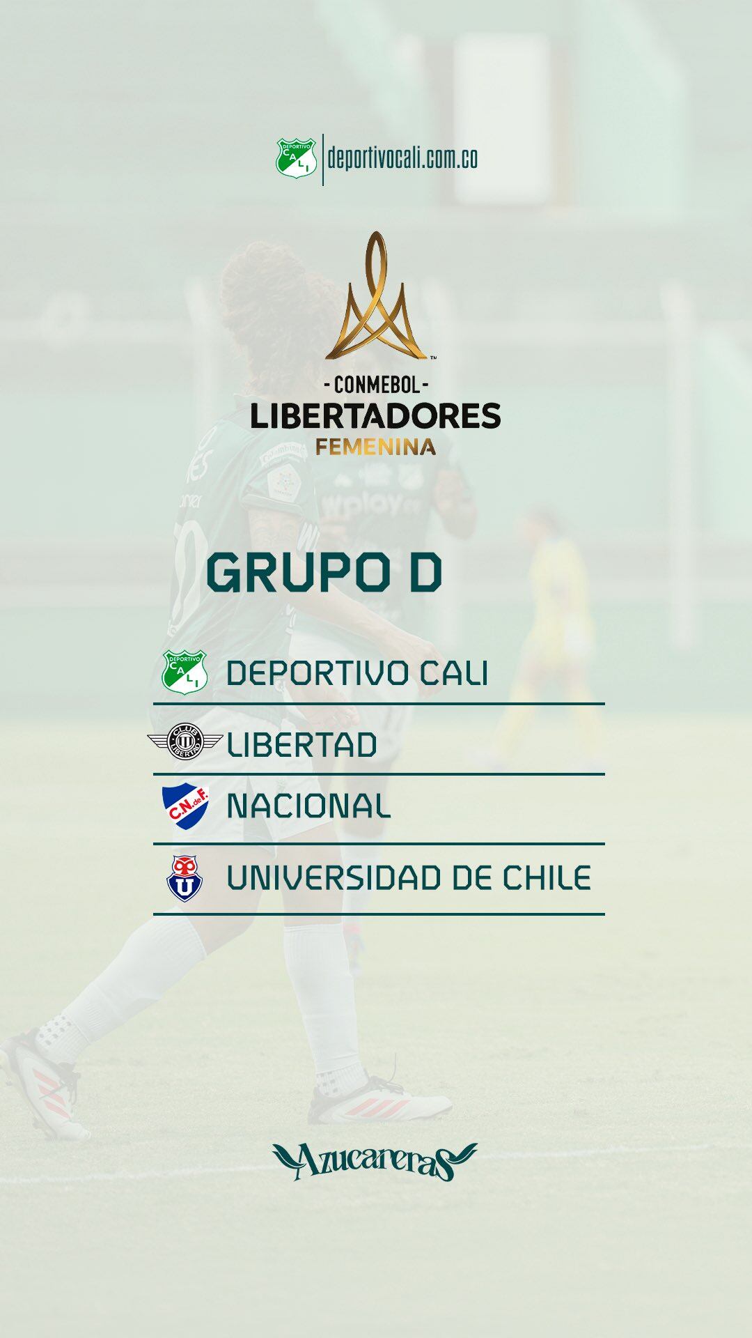 Esta é a união de açúcar para a Copa Libertadores - Credit @asodePorcali / x