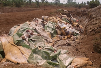 Foto archivo. Unos 65.000 refugiados