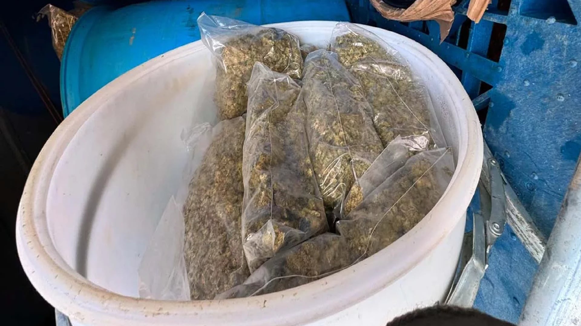 Detención Oaxaca Mariguana camión (especial)