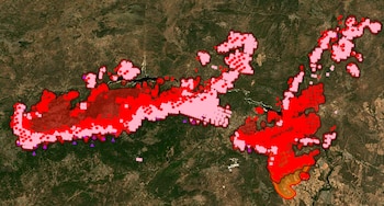 Mapa satelital de terreno con vegetación que contiene grandes áreas marcadas en rojo y rosa, con puntos rojos, cuadrados y triángulos morados superpuestos