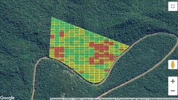 Banco de Bosques: comprar montes
