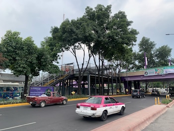 El Tren Ligero en la estación Estadio Azteca opera con normalidad tras la renovación de trenes y el rediseño con el ajolote como elemento central.