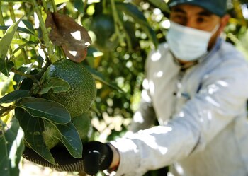 Imagen de archivo de una