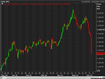 Evolución de los precios de