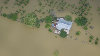 Cultivadores pidieron ayuda urgente al