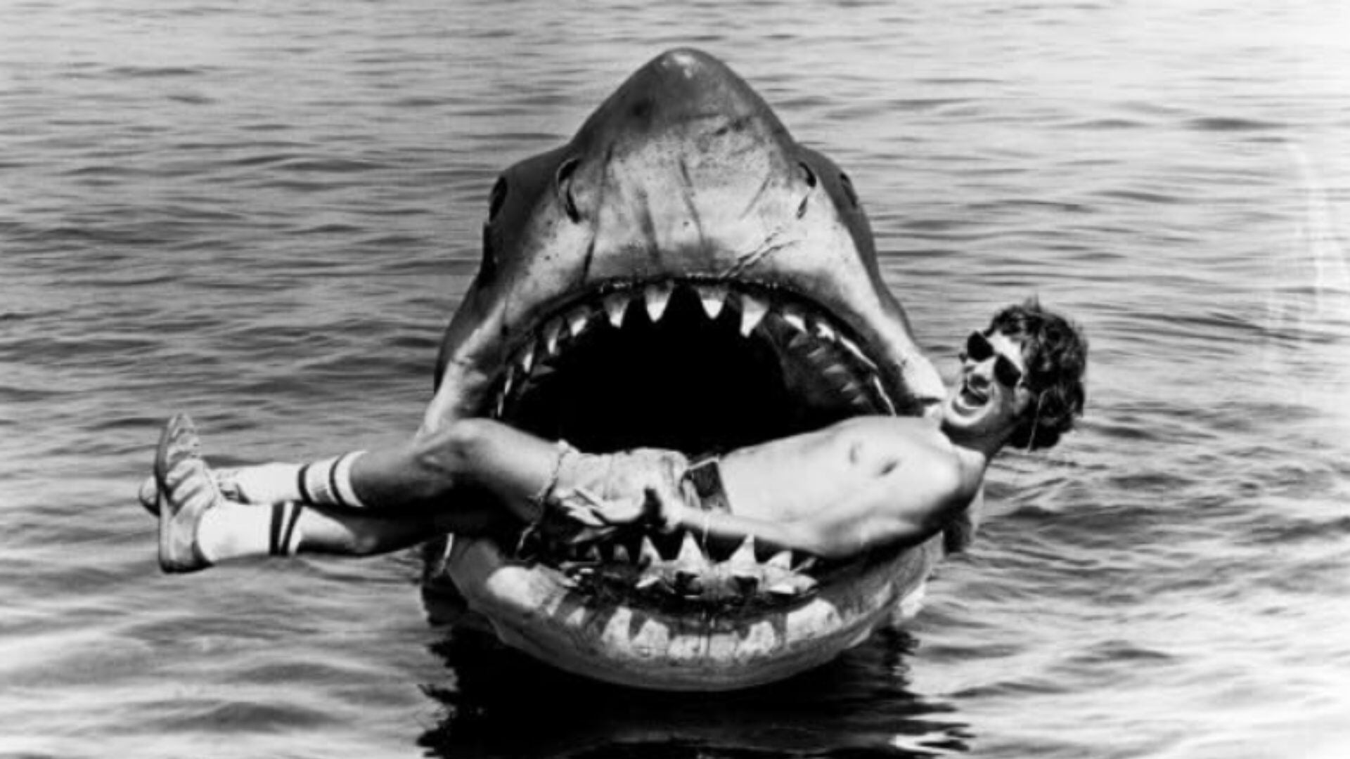 Usada por Spielberg, la reaparición de 'Spanish Ladies' en Tiburón rinde homenaje a la historia y cultura de los marinos británicos en el cine (foto: IMDb)