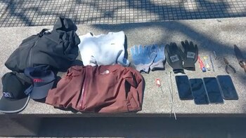 Los elementos secuestrados