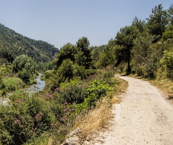 Vía verde del río Serpis,