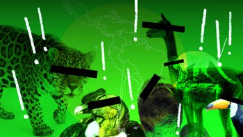 Crédito: Connectas- Erik Retana