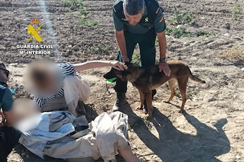 Martina, otra perra del Servicio