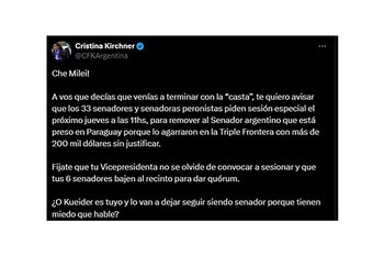 El posteo de Cristina Kirchner por la detención del senador Kueider.