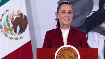 Gobierno pedirá que bienes decomisados a narcos o a políticos mexicanos detenidos en EEUU se entreguen a México
