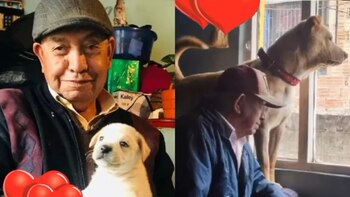 Su cuidadora de la tercera