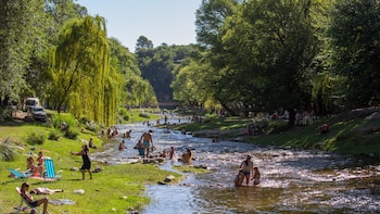 Vista panorámica de un río de aguas claras fluyendo entre orillas cubiertas de césped y árboles frondosos de hojas verdes y amarillas, bajo un cielo azul