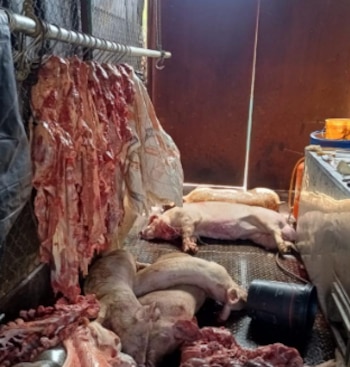 Carnes de res y cerdo