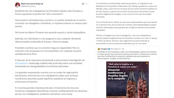 Mafe Carrascal cuestionó los procedimientos denunciados y pidió fortalecer la defensa de los derechos laborales - crédito @MafeCarrascal/X