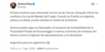 Vanesa Siley