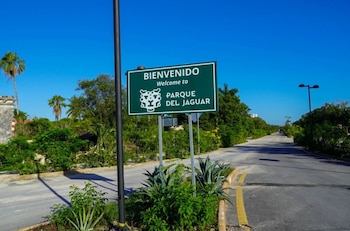 El Parque del Jaguar será más accesible tanto para visitantes mexicanos como para extranjeros.
Crédito: Elizabeth Ruiz / Cuartoscuro