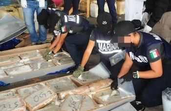 Marihuana asegurada en Veracruz