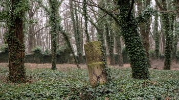 A photo taken on March