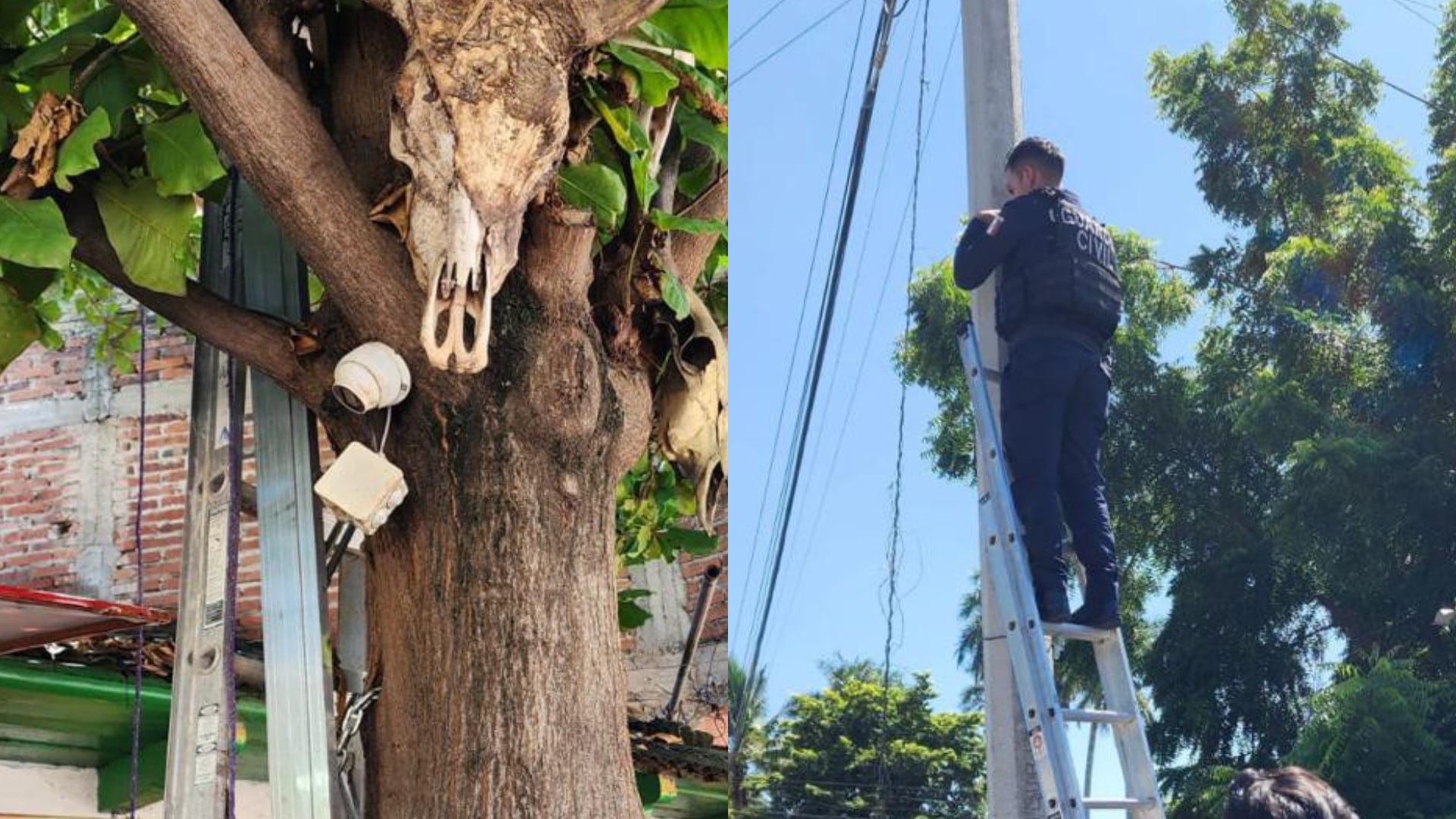 Desmantelan red de cámaras de vigilancia ilegales usadas por el crimen organizado en Apatzingán