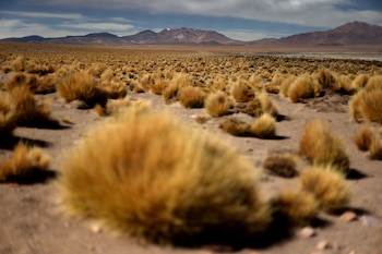 La ciudad de Antofagasta cuenta