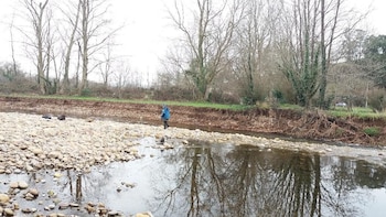 El río Llerana de Cantabria se queda “completamente arrasado, sin vida” por un vertido ganadero y deja a más de 2.000 peces muertos: su restauración podría durar años