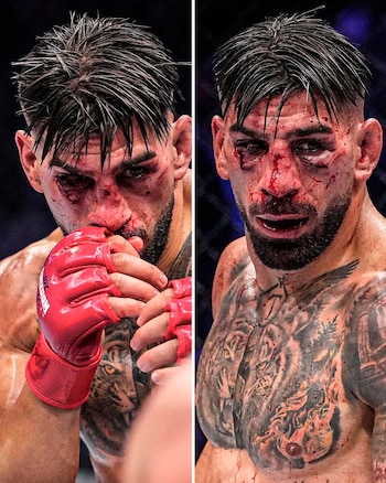 Díptico de Topuria con el rostro ensangrentado por heridas y golpes, cabello oscuro y barba. Viste guantes rojos y muestra tatuajes de tigre en el pecho