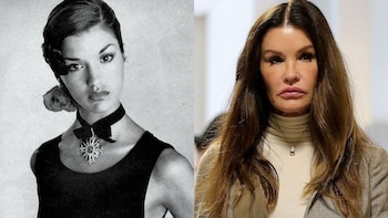 Janice Dickinson tuvo una carrera