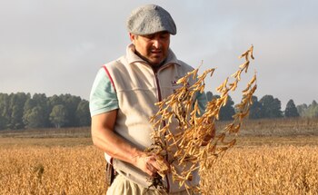 Las cuentas de la gruesa