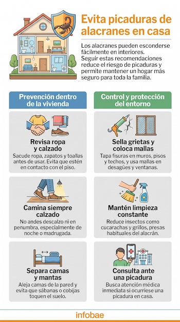 Infografía con ilustraciones y texto sobre cómo prevenir picaduras de alacranes en casa. Muestra un hogar, un escudo con alacrán y ocho paneles.