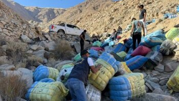 Sunat incauta más de 8