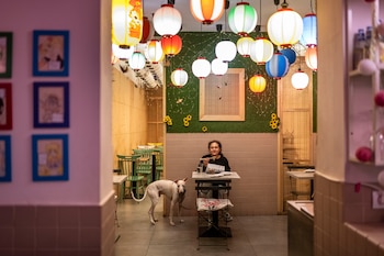 ‘Okashi Sanda’, el japonés sin