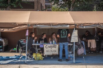 Varios voluntarios en el campo