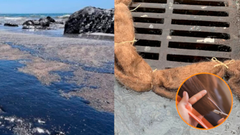 Llaman a recolectar cabello para limpiar derrame de petróleo en el Golfo de México, ¿realmente funciona?