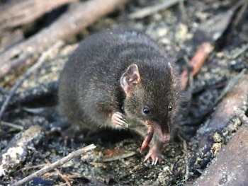 25/01/2024 Esta fotografía muestra un