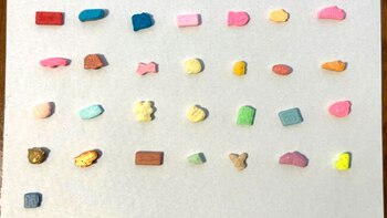 30 pastillas distintas: el variado