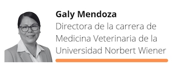 Imagen UM26JVZYOVGQBALW34WT4XKBSQ