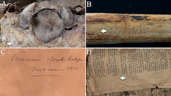 Primer plano de cuatro imágenes: un fragmento de hueso, un objeto de madera, una hoja con texto manuscrito y un recorte de periódico