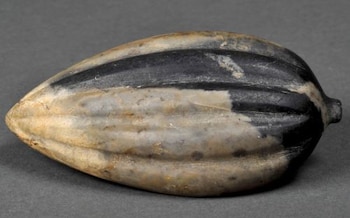 Origen del cacao. (Foto: Andina)