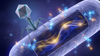 Un virus con estructura icosaédrica y patas sobre una bacteria cilíndrica con una abertura que muestra ondas de luz en su interior.