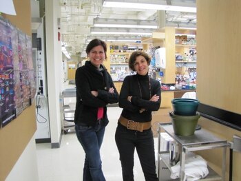 La investigadora argentina Cybele García