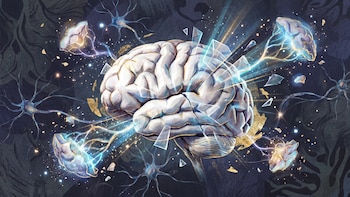 Identifican cómo las lesiones cerebrales pueden activar procesos de recuperación
