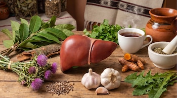 Un modelo de hígado humano junto a diversas plantas medicinales como cardo mariano, ajo, cúrcuma, cilantro y hojas de diente de león sobre una mesa de madera, con una taza de infusión humeante y un mortero.