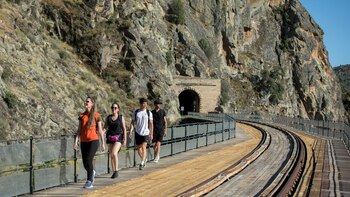 El Camino de Hierro en