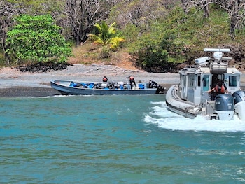 La operación concluyó con la