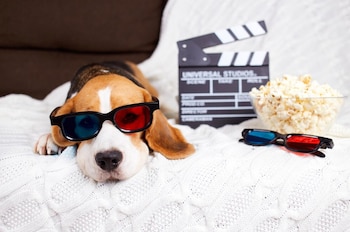 Los perros en el cine