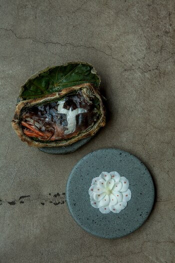 El espíritu ecológico de