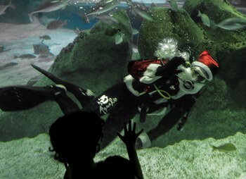 Imagen de archivo de un