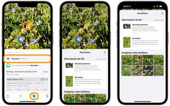 Buscar información con imágenes usando